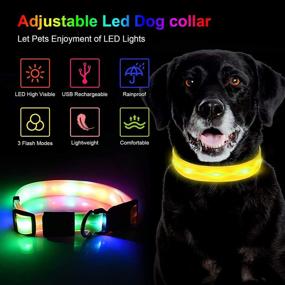 img 2 attached to Premium Waterproof Dog Collar for Medium and Large Dogs - USB Rechargeable and Adjustable Flashing Light Collar with 8 Hours of Battery Life