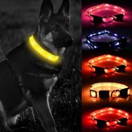 premium waterproof dog collar for medium and large dogs - usb rechargeable and adjustable flashing light collar with 8 hours of battery life logo