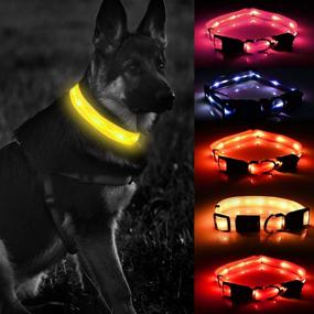 img 4 attached to Premium Waterproof Dog Collar for Medium and Large Dogs - USB Rechargeable and Adjustable Flashing Light Collar with 8 Hours of Battery Life