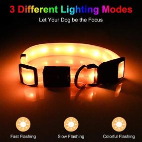 img 3 attached to Premium Waterproof Dog Collar for Medium and Large Dogs - USB Rechargeable and Adjustable Flashing Light Collar with 8 Hours of Battery Life