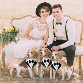 img 3 attached to 🐶 Black Dog Tuxedo Wedding Bandana Collar with Bow Tie - Formal and Adjustable Collar for Small, Medium, and Large Dogs