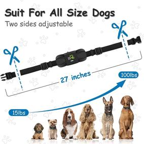 img 3 attached to 🐶 DOG CARE Dog Training Collar: Rechargeable Shock Collar with Remote | 1000Ft Remote Range | 2 Receivers | Ideal for Large, Medium & Small Dogs