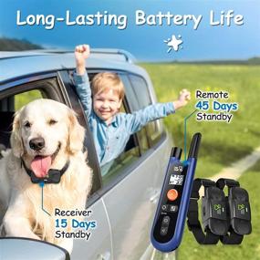 img 2 attached to 🐶 DOG CARE Dog Training Collar: Rechargeable Shock Collar with Remote | 1000Ft Remote Range | 2 Receivers | Ideal for Large, Medium & Small Dogs