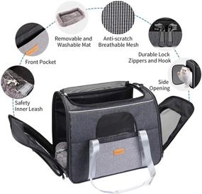 img 1 attached to 🐾 morpilot Pet Carrier Bag, Portable Travel Bag for Cat and Dog up to 20lbs, Breathable Cat Carrier with Safety Inner Leash and Foldable Bowl, Can be Used as Cage and Carrier Bag, Size Large (18 x 12.5 x 14 inches)
