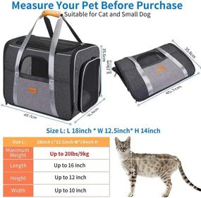 img 2 attached to 🐾 morpilot Pet Carrier Bag, Portable Travel Bag for Cat and Dog up to 20lbs, Breathable Cat Carrier with Safety Inner Leash and Foldable Bowl, Can be Used as Cage and Carrier Bag, Size Large (18 x 12.5 x 14 inches)