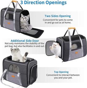img 3 attached to 🐾 morpilot Pet Carrier Bag, Portable Travel Bag for Cat and Dog up to 20lbs, Breathable Cat Carrier with Safety Inner Leash and Foldable Bowl, Can be Used as Cage and Carrier Bag, Size Large (18 x 12.5 x 14 inches)