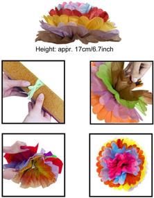 img 1 attached to 🎉 Colorful Fiesta Tissue Pompoms Paper Flowers, Paper Fans Garlands String, and Triangle Bunting Banner - Cinco De Mayo Decorations Set with Hanging Swirls for Birthday Party, Mexican Fiesta Celebration by ZERODECO