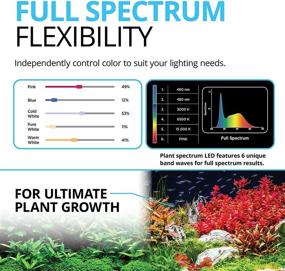img 3 attached to 🌱 Fluval Plant 3.0 LED Planted Aquarium Lighting: Optimal 32 Watts for 24-34 inch tanks
