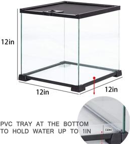 img 3 attached to 🦎 REPTIZOO Glass Mini 8 Gallon Reptile Terrarium: Ideal Habitat Cage for Leopard Gecko Tarantula Young Lizard Insects - 12x12x12 inches, with Top Screen Ventilation & Feeding Option