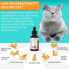 img 3 attached to 🐱 Organic Cat Supplement by RestoraPet: Safe & Healthy Antioxidant Liquid Drops with Anti-Inflammatory Benefits, Boosts Mobility & Energy for Cats - Joint Support Supplement with Tuna Flavor