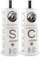🌟 boudica shine sulfate-free shampoo & nourishing conditioner: large bottles for optimal haircare logo