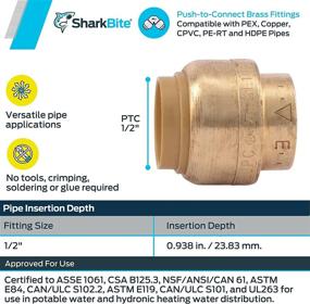 img 2 attached to 🦈 SharkBite U514LFA4 End Cap, Push-to-Connect, Plastic PEX Tubing, Copper, CPVC, HDPE, 1/2 Inch, 4-Pack