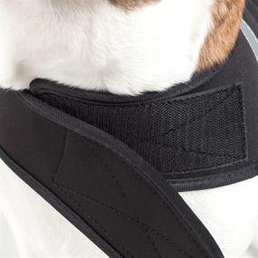 img 1 attached to Ultimate Neoprene Guard: Versatile Protective Shell Dog Coat for Extreme Conditions