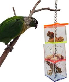 img 1 attached to Tropical Chickens Parrot Bird Boredom Buster Forage Box: Creative Hanging Treat Foraging Toy for Enrichment & Small Bird Fun - Conure, Cockatiel, & More! Transparent Acrylic Food Holder Included