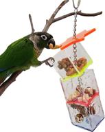 tropical chickens parrot bird boredom buster forage box: creative hanging treat foraging toy for enrichment & small bird fun - conure, cockatiel, & more! transparent acrylic food holder included logo