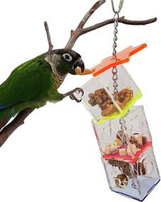 img 4 attached to Tropical Chickens Parrot Bird Boredom Buster Forage Box: Creative Hanging Treat Foraging Toy for Enrichment & Small Bird Fun - Conure, Cockatiel, & More! Transparent Acrylic Food Holder Included