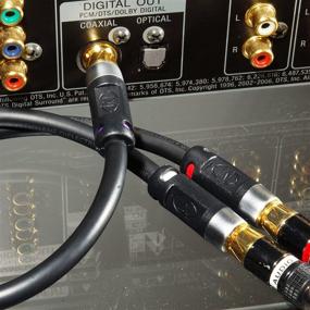 img 1 attached to 🔌 Усовершенствованный адаптер Mediabridge Ultra Series RCA Y-Adapter (12 дюймов) - 1-мужской к 2-женским для цифрового звука или сабвуфера - (Номер детали: CYA-1M2F-P)