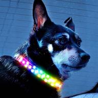 🐶 waterproof led dog collar with reflective stripes - adjustable d ring design, usb rechargeable & neck ring for pets logo