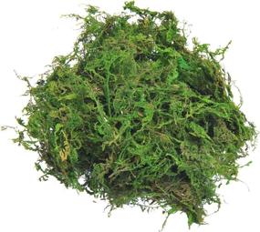 img 4 attached to 🌿 Premium Quality TOPCOMWW Fake Moss for Stunning Centerpiece Decorations, Lifelike Aftificial Green Moss for Crafty Plant Crafts and Floral Arrangements - 3.5oz Pack