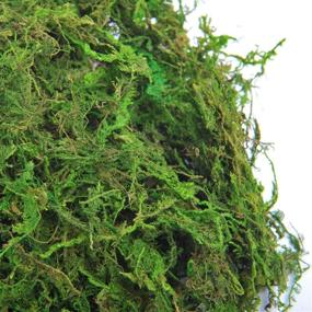 img 3 attached to 🌿 Premium Quality TOPCOMWW Fake Moss for Stunning Centerpiece Decorations, Lifelike Aftificial Green Moss for Crafty Plant Crafts and Floral Arrangements - 3.5oz Pack