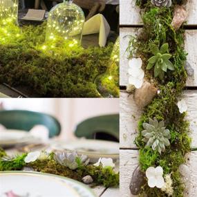 img 1 attached to 🌿 Premium Quality TOPCOMWW Fake Moss for Stunning Centerpiece Decorations, Lifelike Aftificial Green Moss for Crafty Plant Crafts and Floral Arrangements - 3.5oz Pack