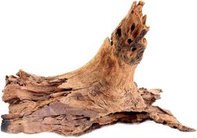 img 1 attached to 🪵 SuperMoss Natural Driftwood for Air Plants (23296) - 11”- 13” Size (Designs may vary)