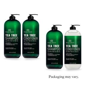 img 2 attached to 🌿 Botanic Hearth Tea Tree Shampoo and Conditioner Set - Soothes Itchy and Dry Scalp, Made with 100% Pure Tea Tree Oil, Sulfate Free, Paraben Free - Ideal for Men and Women - (Packaging May Vary) - 16 fl oz each