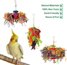 img 1 attached to 🐦 BWOGUE Bird Chewing Toys - Parrot Cage Shredder Toy Foraging - Hanging Toy for Cockatiel, Conure, African Grey, Amazon (3 Pack)
