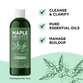 img 1 attached to 🌿 Natural Essential Oils Deep Cleansing Shampoo for Oily Hair and Scalp Care - Degreasing and Clarifying Formula for Greasy Hair and Build Up Removal