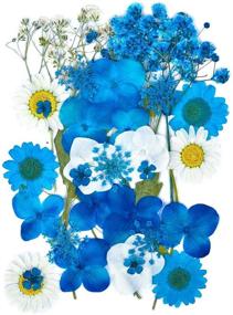 img 4 attached to Nolliere 30 Pcs Real Dried Blue Flowers for Resin Jewelry Crafts, Scrapbooking, and DIY Candle Making – Natural Pressed Floral for Enhanced SEO