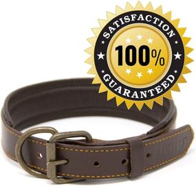 img 2 attached to Padded Leather Collar for Heroic Dogs