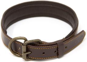 img 4 attached to Padded Leather Collar for Heroic Dogs