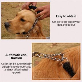 img 1 attached to 🐾 Durable & Heavy Duty Dog Collar and Leash Set for Training Small, Medium, and Large Dogs - Heavy Duty Rope Braided Leash Included!