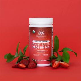 img 3 attached to 🍓 GoldenSource Proteins: Organic Plant-Based Protein, Strawberry, 1lb - 18 Servings, with 22 Vitamins & Minerals, Complete Amino Acid Profile, Gluten-Free, Soy-Free, Dairy-Free, Peanut-Free - No Added Sugar