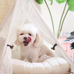 img 3 attached to 🐾 Pet Teepee Dog or Cat Bed - Portable Lace Style Tent & House - With Optional Cushion - Ideal for Puppies, Dogs, and Cats