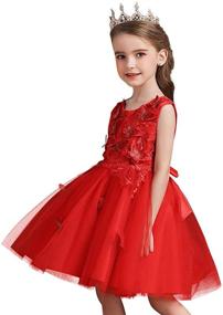 img 3 attached to 👗 MYRISAM Princess Butterflies Embroidered Girls' Birthday Dresses