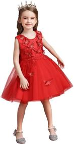 img 2 attached to 👗 MYRISAM Princess Butterflies Embroidered Girls' Birthday Dresses