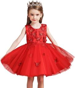 img 4 attached to 👗 MYRISAM Princess Butterflies Embroidered Girls' Birthday Dresses