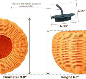 img 3 attached to HNC ECOLIFE Orange Pumpkin Halloween