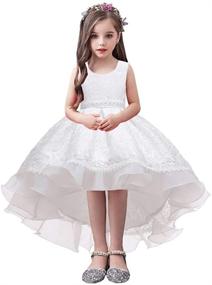 img 4 attached to 👸 Princess Birthday Communion Dresses for Girls - WOCINL Girls' Clothing Collection