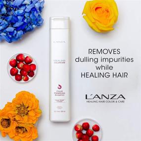 img 1 attached to 🎨 Шампунь L’ANZA Healing ColorCare для женщин, без сульфатов, сохраняет цвет волос