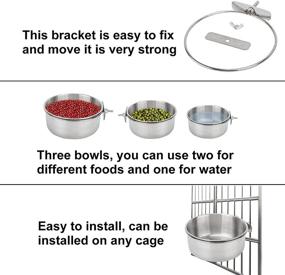 img 1 attached to 🐦 Bird Feeding Dish Cups Set of 3 - Stainless Steel Parrot Food Bowl with Clamp Holder for Cockatiel, Conure, Budgies, Parakeet, Macaw, Finches, Lovebirds & Small Animals in Birdcage Coop