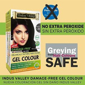 img 2 attached to Indus Valley Permanent Gel Hair Color (Black 1.0) - Damage-Free Formula