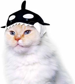 img 1 attached to 🐱 Kitan Club Cat Cap: Discover 1 Cute Style in Pet Hat Blind Box - Soft and Comfortable, Authentic Japanese Kawaii Design - Premium Quality, Animal-Safe Materials - Get an Aquarium Style!