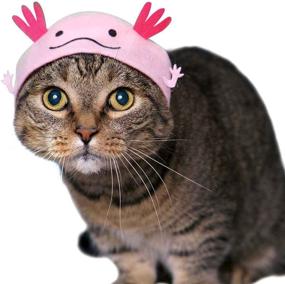 img 3 attached to 🐱 Kitan Club Cat Cap: Discover 1 Cute Style in Pet Hat Blind Box - Soft and Comfortable, Authentic Japanese Kawaii Design - Premium Quality, Animal-Safe Materials - Get an Aquarium Style!