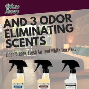 img 1 attached to 🌬️ Blaze Away Commercial Air Freshener: Professional Odor Removal & Smoke Neutralizer Spray - Long-Lasting Scent & Molecular-Level Cleansing - 5oz Sprayer