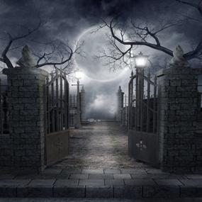 img 4 attached to 🎃 LYWYGG 8x8FT Halloween Horror Backdrops: Iron Gate Moon Black Night Backdrop, Abandoned Manor Photography Background CP-52-0808