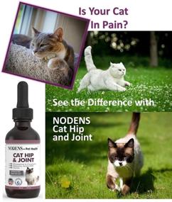 img 3 attached to NODENS CAT Hip and Joint Glucosamine with Chondroitin: Improved Flexibility, Pain Relief, and Arthritis Support for Cats