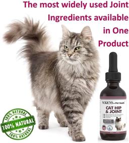 img 1 attached to NODENS CAT Hip and Joint Glucosamine with Chondroitin: Improved Flexibility, Pain Relief, and Arthritis Support for Cats