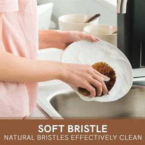 img 1 attached to 🥕 Natural Bristle Vegetable Cleaning Brush Set - 2 Brushes, 3.5 x 5.5 inches - Coconut Fiber Bristles for Gentle and Effective Cleaning of Tough-Skinned Fruits and Veggies - Cast Iron Scrub Brush with Steel Hanging Loop